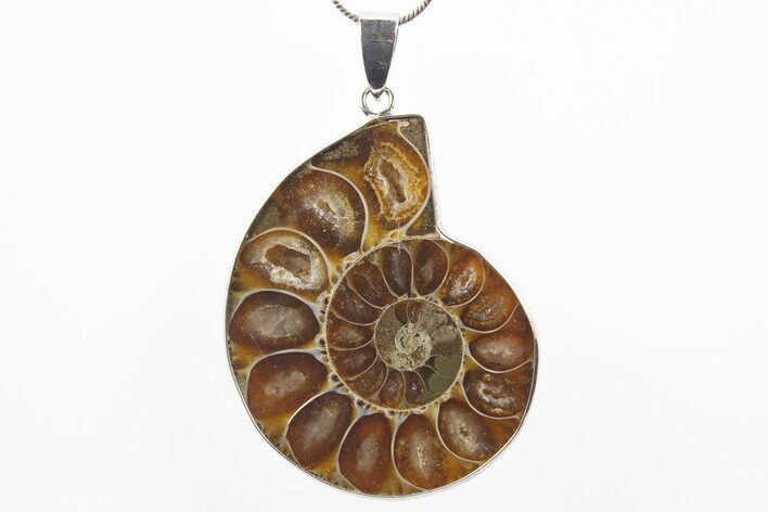 Fossil Ammonite Pendant - Million Years Old #306429